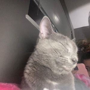 Meet your Posher, Sorayda